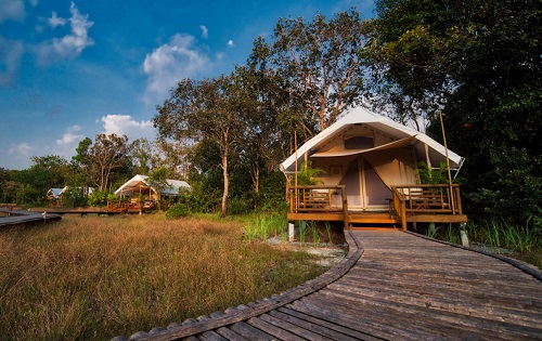 Cardamom Tented Camp 1s